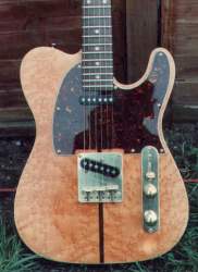 bird's eye maple